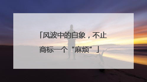风波中的白象，不止商标一个“麻烦”