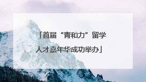 首届“青和力”留学人才嘉年华成功举办