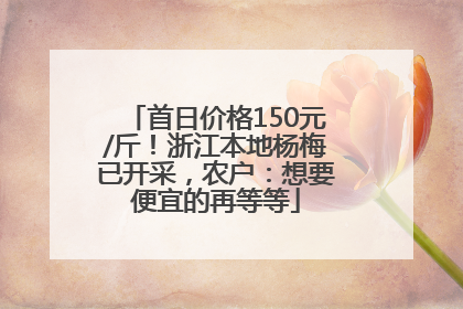 首日价格150元/斤！浙江本地杨梅已开采，农户：想要便宜的再等等