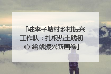 驻李子塘村乡村振兴工作队：扎根热土践初心 绘就振兴新画卷