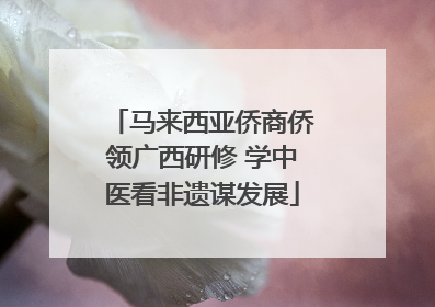 马来西亚侨商侨领广西研修 学中医看非遗谋发展