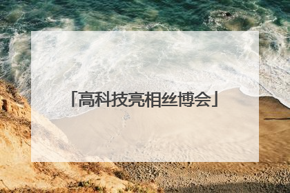 高科技亮相丝博会