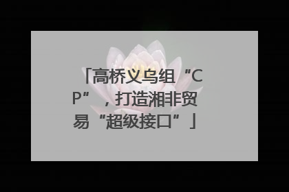 高桥义乌组“CP”，打造湘非贸易“超级接口”