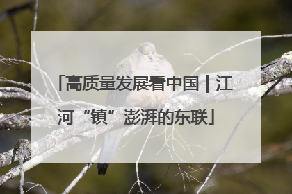 高质量发展看中国｜江河“镇”澎湃的东联