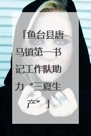 鱼台县唐马镇第一书记工作队助力“三夏生产”