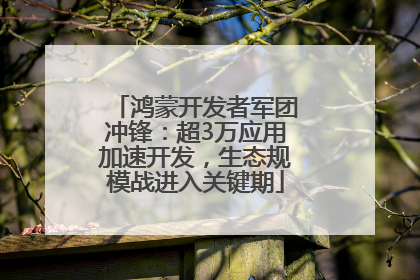 鸿蒙开发者军团冲锋：超3万应用加速开发，生态规模战进入关键期