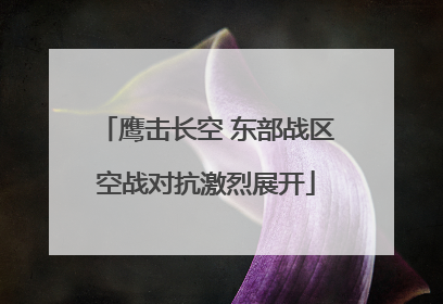鹰击长空 东部战区空战对抗激烈展开