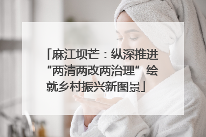 麻江坝芒：纵深推进“两清两改两治理”绘就乡村振兴新图景