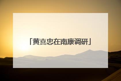 黄喜忠在南康调研
