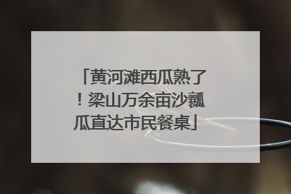 黄河滩西瓜熟了！梁山万余亩沙瓤瓜直达市民餐桌
