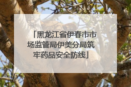 黑龙江省伊春市市场监管局伊美分局筑牢药品安全防线
