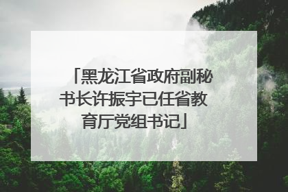 黑龙江省政府副秘书长许振宇已任省教育厅党组书记