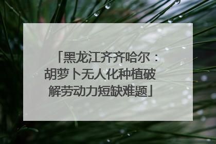 黑龙江齐齐哈尔：胡萝卜无人化种植破解劳动力短缺难题
