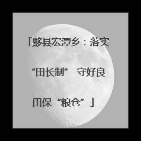 黟县宏潭乡：落实“田长制” 守好良田保“粮仓”