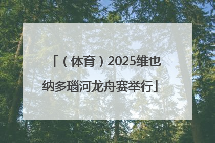 （体育）2025维也纳多瑙河龙舟赛举行