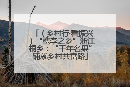 （乡村行·看振兴）“槜李之乡”浙江桐乡：“千年名果”铺就乡村共富路