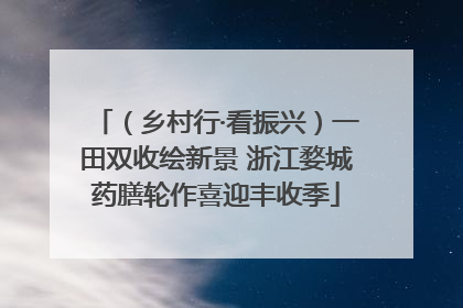 （乡村行·看振兴）一田双收绘新景 浙江婺城药膳轮作喜迎丰收季