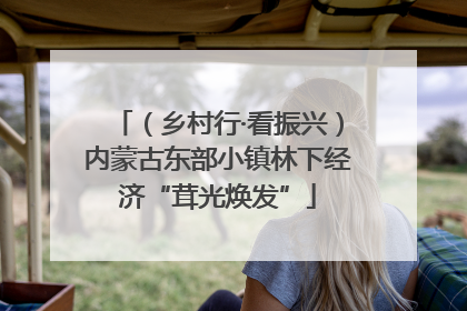 （乡村行·看振兴）内蒙古东部小镇林下经济“茸光焕发”