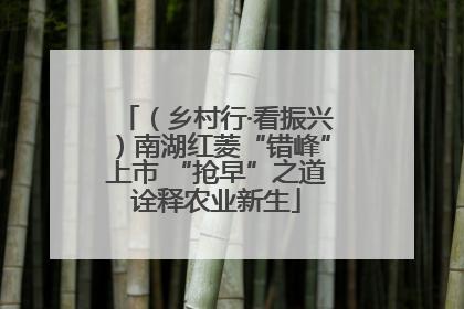 （乡村行·看振兴）南湖红菱“错峰”上市 “抢早”之道诠释农业新生