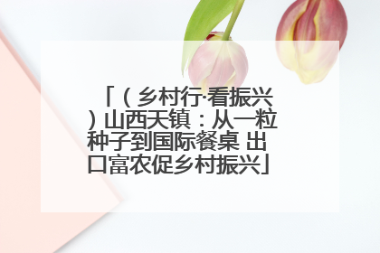 （乡村行·看振兴）山西天镇：从一粒种子到国际餐桌 出口富农促乡村振兴