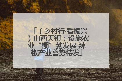 （乡村行·看振兴）山西天镇：设施农业“棚”勃发展 辣椒产业蓄势待发