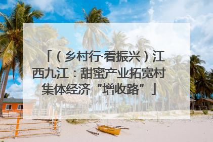 （乡村行·看振兴）江西九江：甜蜜产业拓宽村集体经济“增收路”