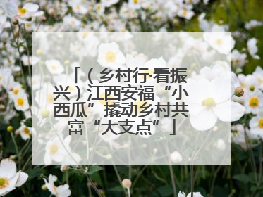 （乡村行·看振兴）江西安福“小西瓜”撬动乡村共富“大支点”