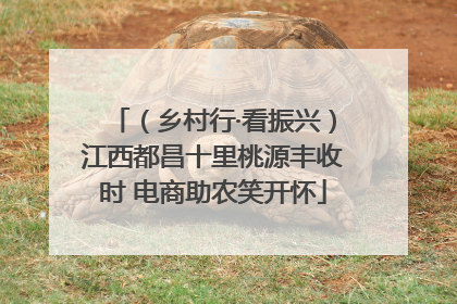 （乡村行·看振兴）江西都昌十里桃源丰收时 电商助农笑开怀