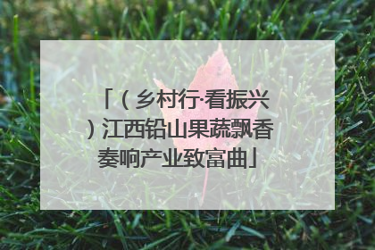 （乡村行·看振兴）江西铅山果蔬飘香 奏响产业致富曲