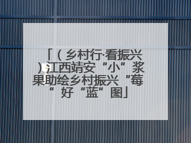 （乡村行·看振兴）江西靖安“小”浆果助绘乡村振兴“莓”好“蓝”图