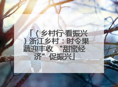 （乡村行·看振兴）浙江乡村：时令果蔬迎丰收 “甜蜜经济”促振兴