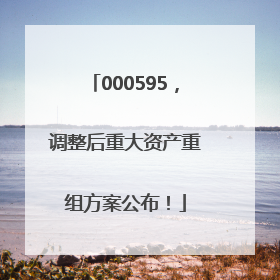000595，调整后重大资产重组方案公布！