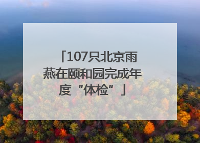 107只北京雨燕在颐和园完成年度“体检”
