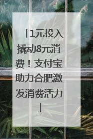 1元投入撬动8元消费！支付宝助力合肥激发消费活力