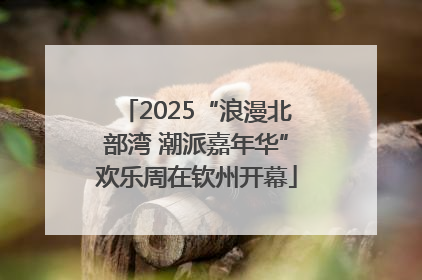 2025“浪漫北部湾 潮派嘉年华”欢乐周在钦州开幕