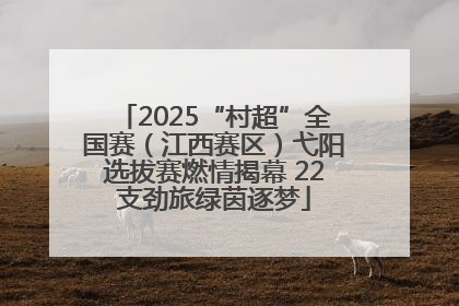 2025“村超”全国赛（江西赛区）弋阳选拔赛燃情揭幕 22支劲旅绿茵逐梦