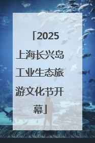 2025上海长兴岛工业生态旅游文化节开幕