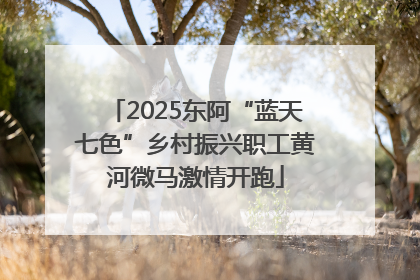2025东阿“蓝天七色”乡村振兴职工黄河微马激情开跑