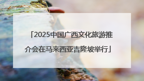 2025中国广西文化旅游推介会在马来西亚吉隆坡举行