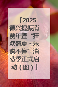 2025德兴提振消费年暨“狂欢盛夏・乐购不停”消费季正式启动（图）