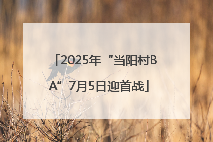 2025年“当阳村BA”7月5日迎首战