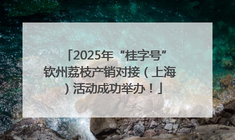 2025年“桂字号”钦州荔枝产销对接（上海）活动成功举办！