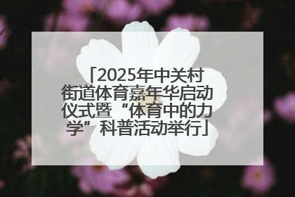 2025年中关村街道体育嘉年华启动仪式暨“体育中的力学”科普活动举行