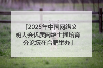 2025年中国网络文明大会优质网络主播培育分论坛在合肥举办