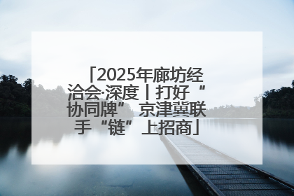2025年廊坊经洽会·深度丨打好“协同牌” 京津冀联手“链”上招商