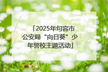 2025年句容市公安局“向日葵”少年警校主题活动