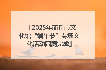 2025年商丘市文化馆“端午节”专场文化活动圆满完成