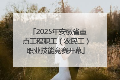 2025年安徽省重点工程职工（农民工）职业技能竞赛开幕