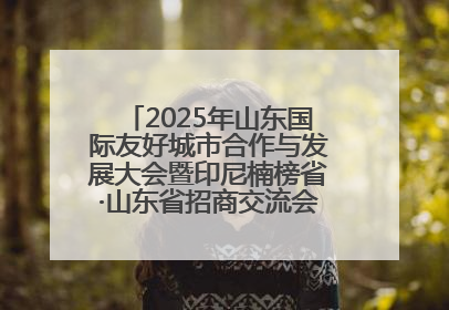 2025年山东国际友好城市合作与发展大会暨印尼楠榜省·山东省招商交流会在济南槐荫举行