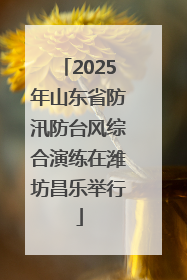 2025年山东省防汛防台风综合演练在潍坊昌乐举行